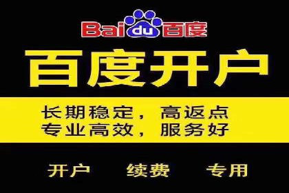 SEM竞价代运营成功案例解析